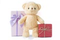 Bear doll with red and purple gift box on white background isolated. Royalty Free Stock Photo