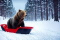 Bear in a Red Sled created with Generative AI