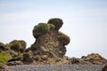 Bear rock at the Punihuil cove, Chiloe island, Chile