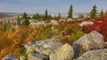 Bear Rocks Dolly Sods West Virginia Royalty Free Stock Photo