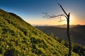 Bear rocks sunrise during autumn with rocky landscape