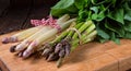 Bear`s garlic with white and green asparagus Royalty Free Stock Photo