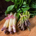 Bear`s garlic with white and green asparagus Royalty Free Stock Photo