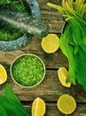 Bear's onion pesto. Royalty Free Stock Photo