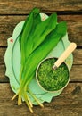 Bear's onion pesto. Royalty Free Stock Photo