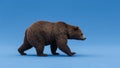 The bear s posture suggests it is in motion presenting a side profile view Royalty Free Stock Photo