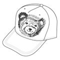 Bear's smiling snout logo on the cap