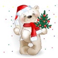 Bear Santa Claus