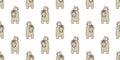 Bear seamless pattern Polar Bear vector isolated camera photography cartoon wallpaper background Royalty Free Stock Photo