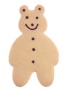 Bear Shaped Biscuit Isolated Royalty Free Stock Photo