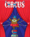 Bear Show Behind Circus Curtain