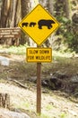 Bear sign on the road in national park Royalty Free Stock Photo