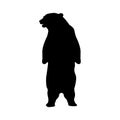 Bear Silhouette Animal Royalty Free Stock Photo