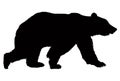 Bear silhouette Royalty Free Stock Photo