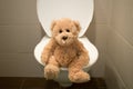 Bear sit on toilet closeup kids potty training