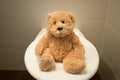 Bear sit on toilet closeup kids potty training Royalty Free Stock Photo