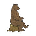 Bear sits on tree stump color sketch vector Royalty Free Stock Photo