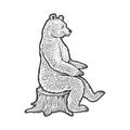 Bear sits on tree stump sketch vector illustration Royalty Free Stock Photo