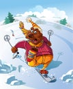 Bear on Ski