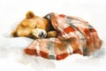 Bear Sleeping Under Blanket at Winter Illustration Royalty Free Stock Photo