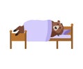 Bear sleeps on bed. Grizzly asleep. Wild beast dormant. Vector i