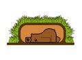 Bear sleeps in den. Beast is sleeping. vector illustration Royalty Free Stock Photo