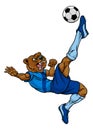 Bear Soccer Football Player Animal Sports Mascot