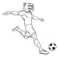 Bear Soccer Football Player Animal Sports Mascot