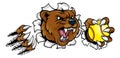 Bear Softball Animal Sports Team Mascot Royalty Free Stock Photo