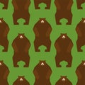 Bear standing pattern seamless. Grizzly forest predator beast ba