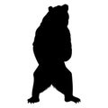 Bear Standing and roaring silhouette. Monochrome vector bear logo template. Grizzly silhouette stands on its hind legs. Royalty Free Stock Photo