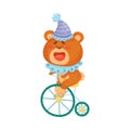 Bear rides a retro bike. Vector illustration on a white background.