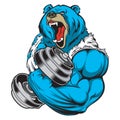 Bear Strong Dumbbell Gym Vector angry