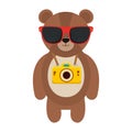 bear with summer sunglasses and photographic camera