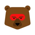 Bear superhero face. Super beast in mask. Strong Grizzly head