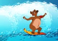 Bear surfing on the waves. cartoon illustration.