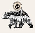 Bear tattoo style. Vector Double exposure, bear for your design, wildlife concept. Shaman tambourine with a bear Royalty Free Stock Photo