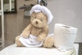 Bear is in toilet Royalty Free Stock Photo