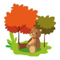 bear toy baby park background