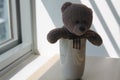 Bear toy with cup sitting by the window in shadows Royalty Free Stock Photo
