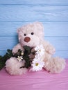 Bear toy flower present cute softness plush birthday wooden background decoration Royalty Free Stock Photo