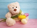 bear toy flower tulip present wooden background Royalty Free Stock Photo