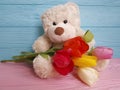 bear toy flower tulip wooden background Royalty Free Stock Photo