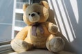 Bear toy sitting by the window in shadows Royalty Free Stock Photo