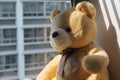 Bear toy sitting by the window sill in shadows Royalty Free Stock Photo