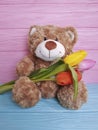 Bear softness teddy toy bouquet tulips birthday childhood on a wooden Royalty Free Stock Photo