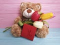 Bear toy with tulips, gift box birthday on a wooden background Royalty Free Stock Photo