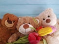 Bear toy with tulips, softness birthday on a wooden background Royalty Free Stock Photo