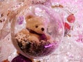 Bear in a Transparent bauble