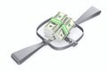 Bear trap and money on white background. Isolated 3D illustration